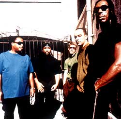 cool pic of all of DMB